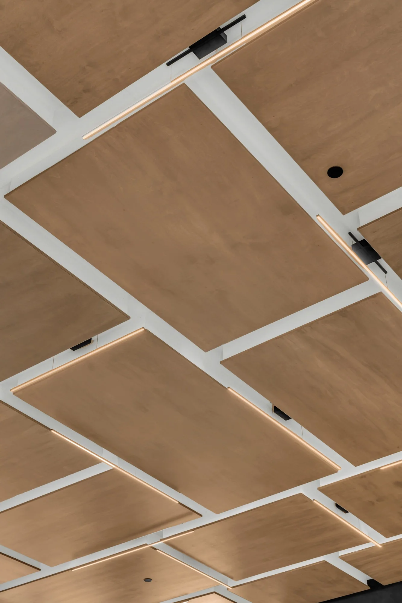 Detailed custom ceiling finish by Tauro Painting